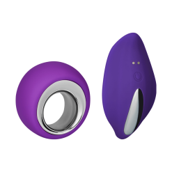 EIS Slipvibrator Mit Fernbedienung, 8 Cm