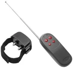 Master-series-2 Master Series Cock Shock CBT Elektro-Penisring